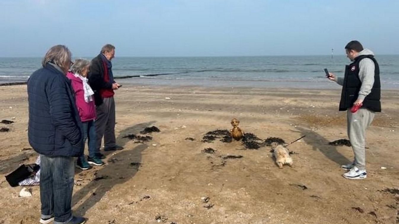 Misztikus sellőszörnyet sodort parta a tenger