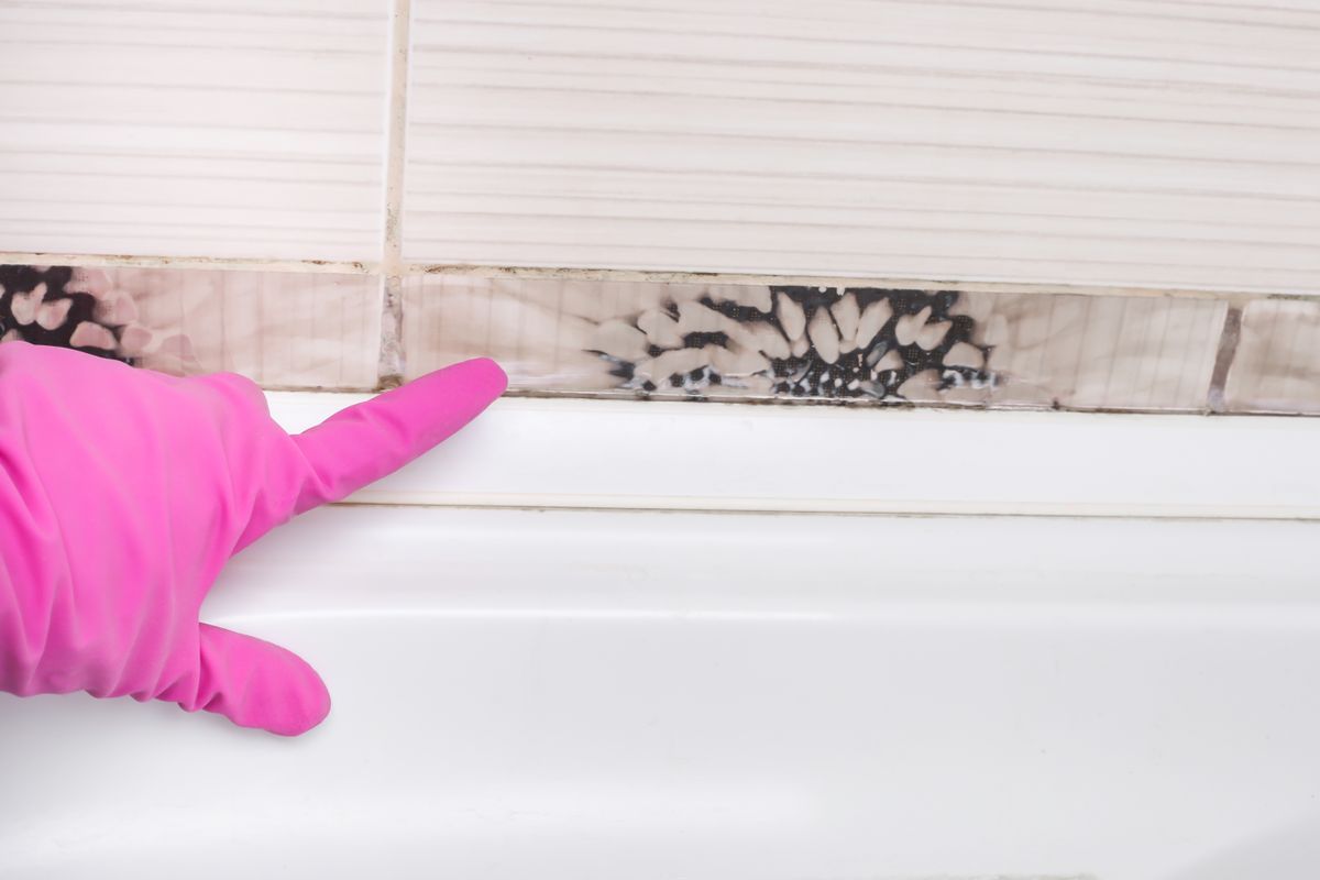 Removing mold and mildew from tile joints in the bathroom by woman hand in pink protective gloves, copyspace, rózsaszín penész