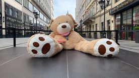 Óriásmackóval üzentek a Budapest belvárosban – Most egy fillér nélkül segíthetsz te is!