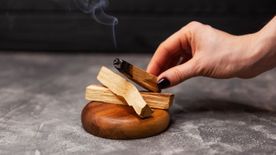 Palo santo, az illatos fa, ami nem csak a lelkedet tisztítja − Ez a dél-amerikaiak titkos csodaszere
