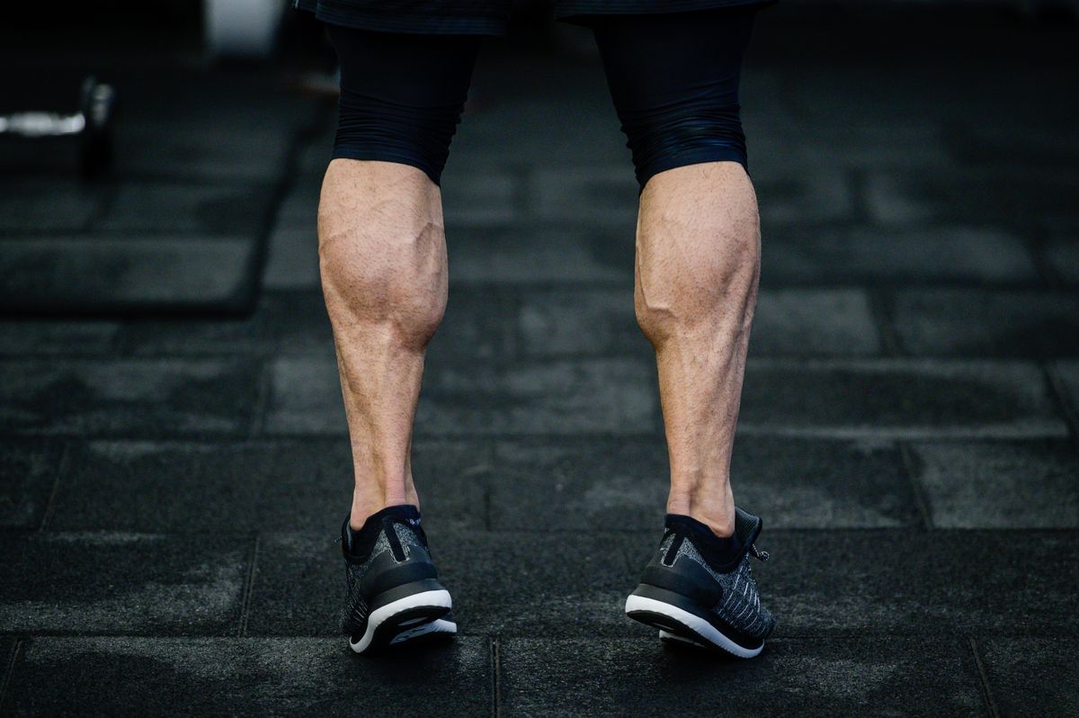 trained legs with muscular calves in sneakers in training gym