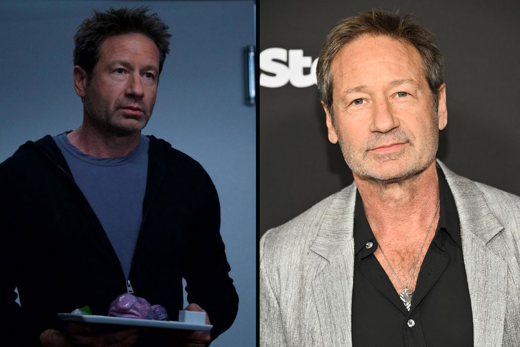 David Duchovny, Fox Mulder FBI-ügynököt alakította, aki a paranormális ügyek megszállottja. A szerep világhírűvé tette, és Golden Globe-díjat is nyert érte. Jelenleg a Secrets Declassified című dokumentumsorozat házigazdája, amelyben kormányzati titkokat tár fel.