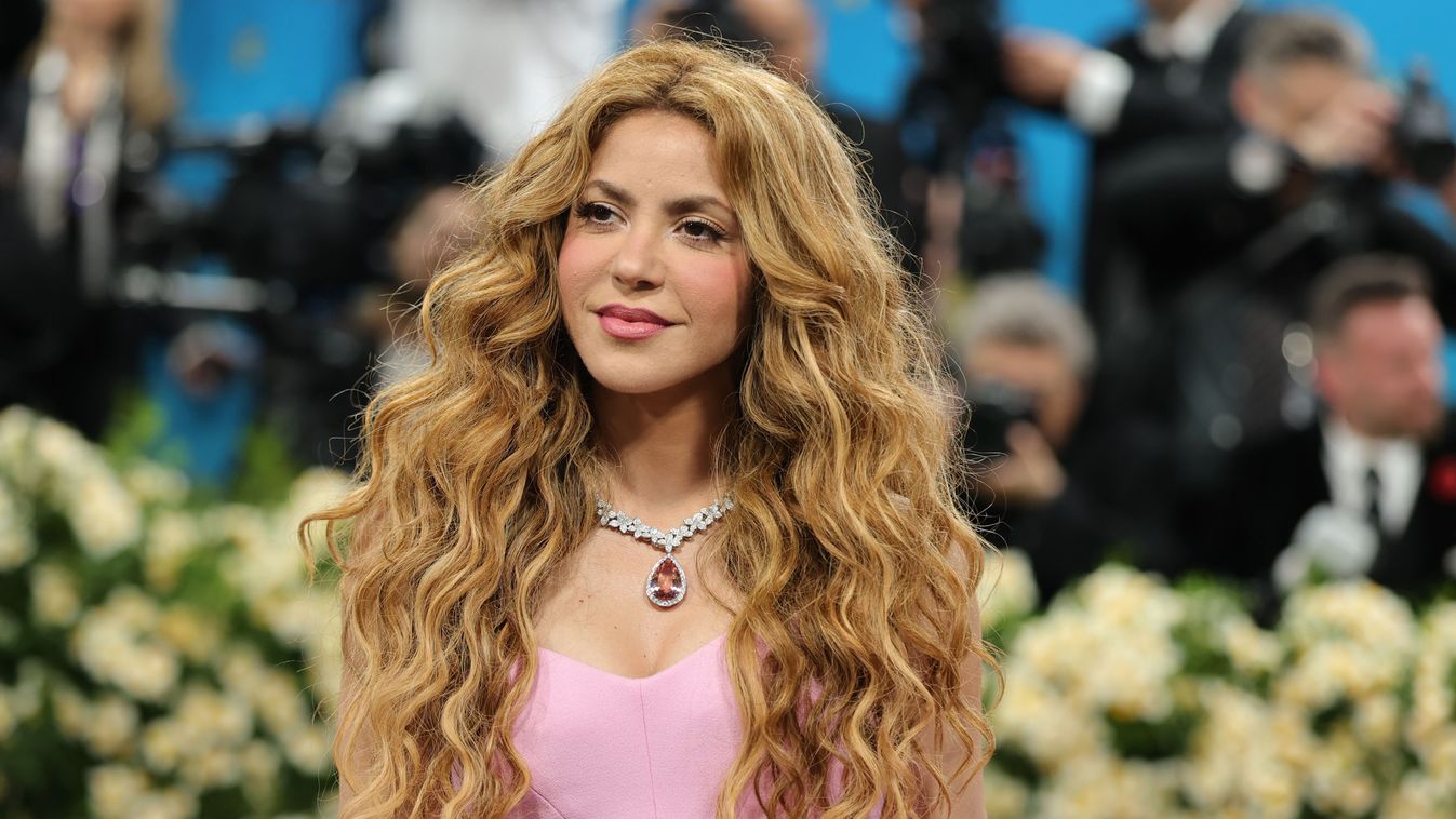 világsztár, Shakira, titok
