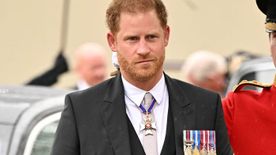 Ezen a kegyetlen kétszavas gúnynéven nevezi Harry Kamillát