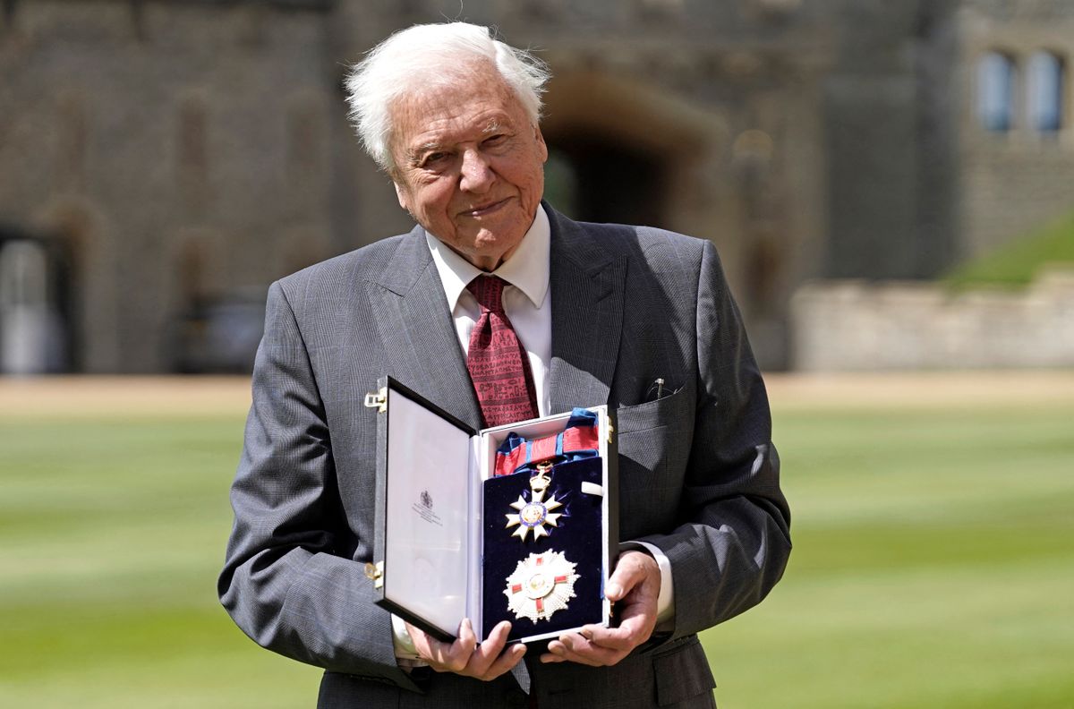 Hamarosan 99 éves lesz David Attenborough, aki 100 évig szeretne élni