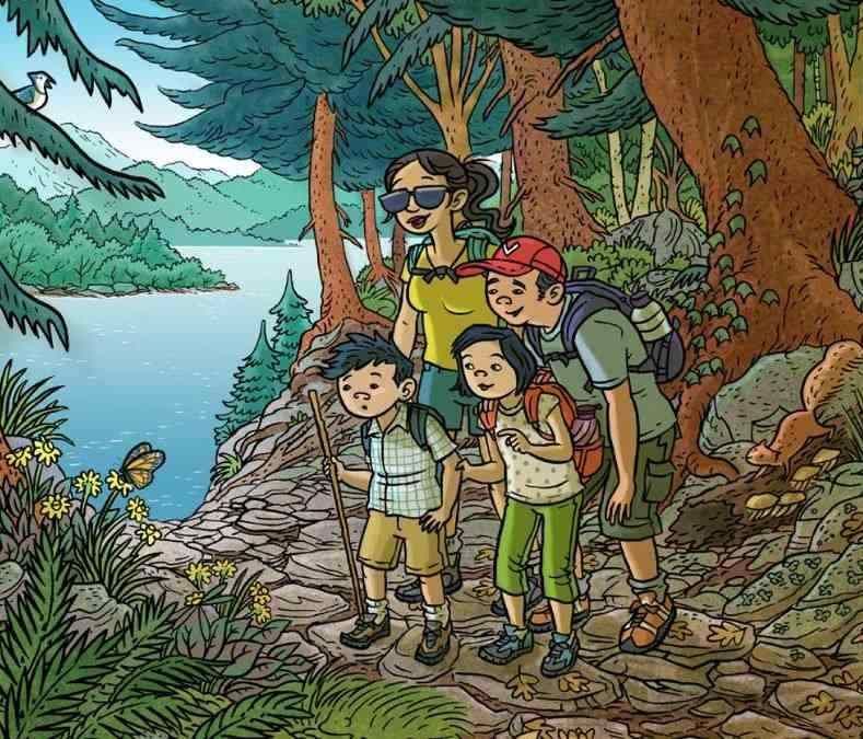 optikai illúzió IQ-teszt feladvány