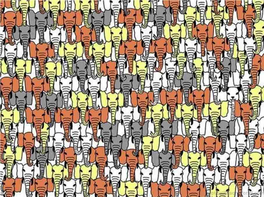 IQ-teszt: neked sikerült kiszúrnod a pandát 5 másodpercen belül?