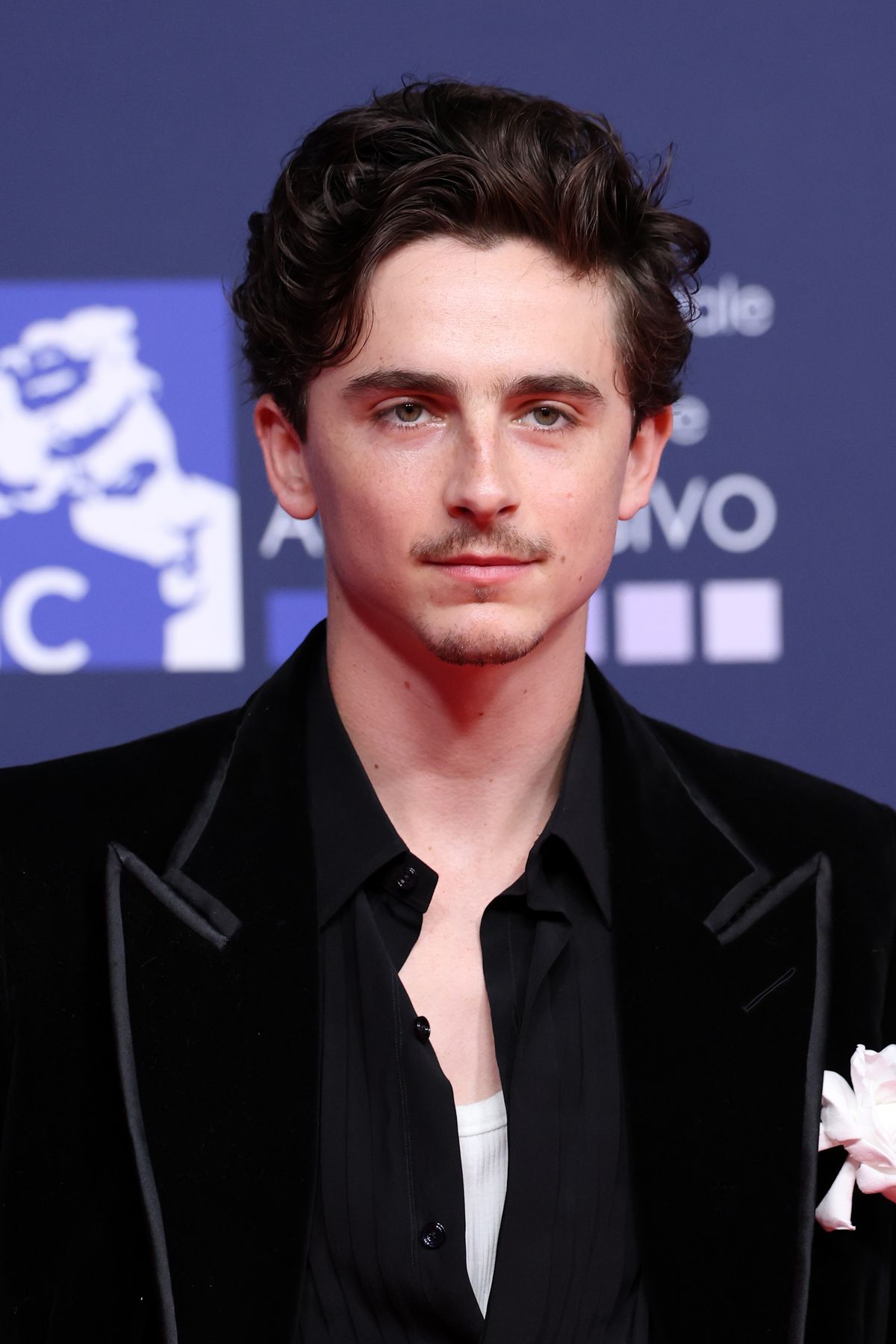 ROME, ITALY - MAY 07: Timothée Chalamet attends the red carpet during the 70th David Di Donatello at Cinecitta Studios on May 07, 2025 in Rome, Italy. (Photo by Daniele Venturelli/WireImage)