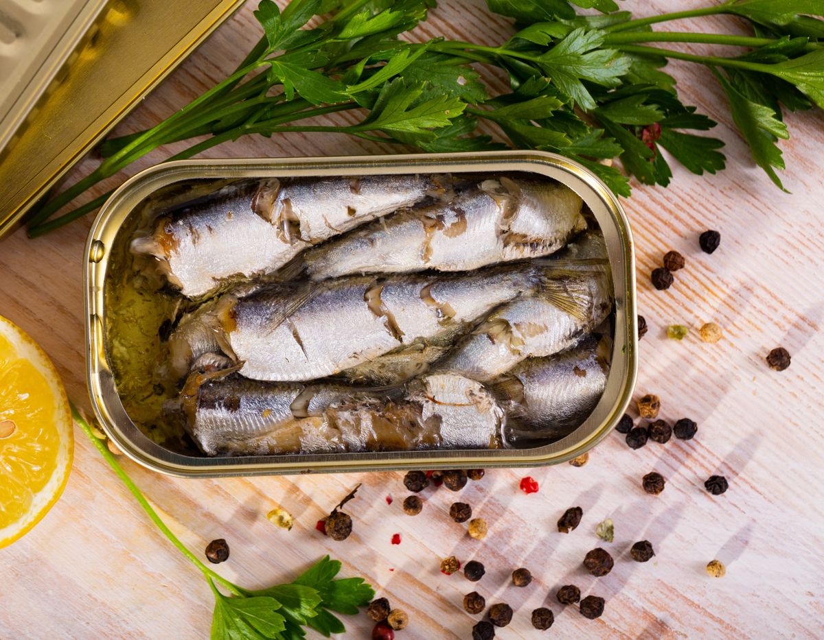 Appetizing pilchards in marinade of oil in open tin can on wooden table with greens and lemon
