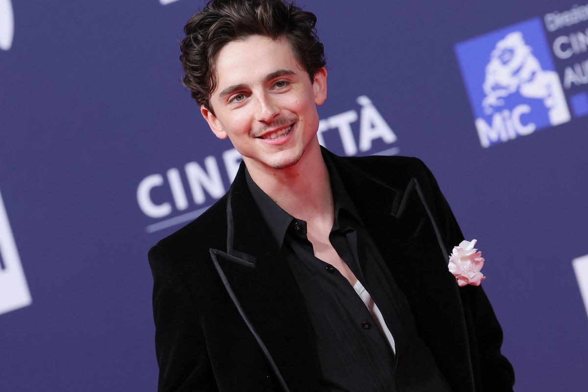 ROME, ITALY - MAY 07: Timothee Chalamet attends the red carpet during the 70th David Di Donatello at Cinecitta Studios on May 07, 2025 in Rome, Italy. (Photo by Vittorio Zunino Celotto/Getty Images)