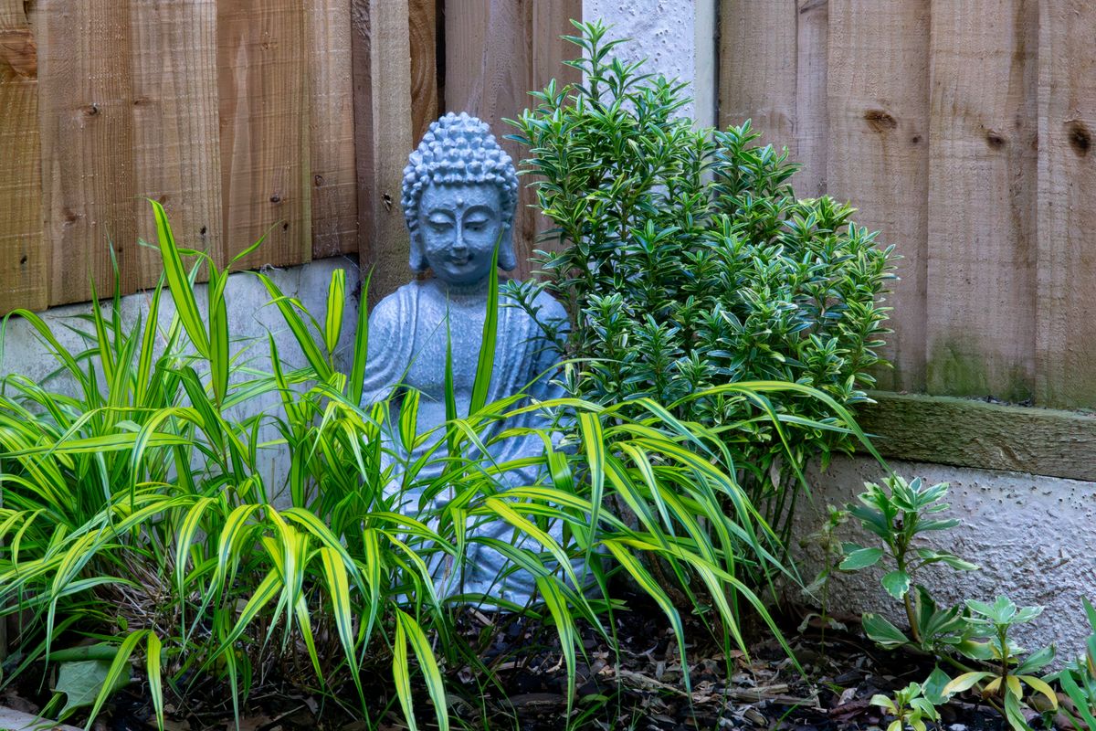Stone Buddha Statue in a Garden Setting Surrounded by Green Foli