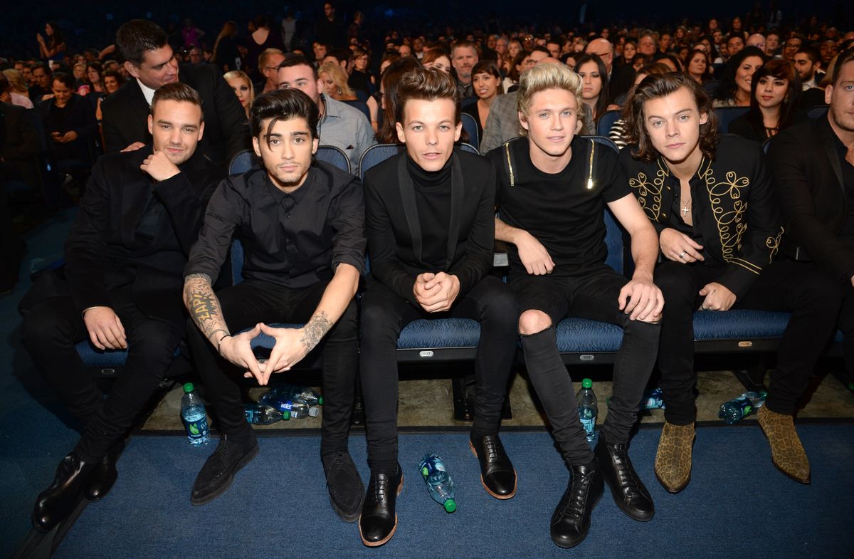 one direction tagjai