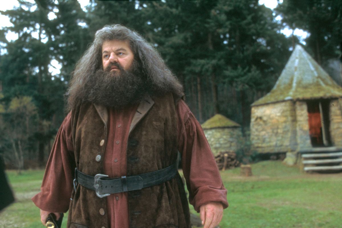 RELEASE DATE: Nov 04, 2001. MOVIE TITLE: Harry Potter And The Sorcerer's Stone. STUDIO: Fox. PLOT: On his 11th birthday, young Harry Potter discovers the life he never knew he had, the life of a wizard. In his first year at Hogwarts School of Witchcraft and Wizardry, he meets his two best friends Ron Weasley, an expert at Wizard Chess, and Hermione Granger, a girl with non-magic parents. Harry learns the game of Quiditch and Wizard Chess on his way to facing a Dark Arts teacher who is bent on destroying him. PICTURED: ROBBIE COLTRANE as Rubeus Hagrid. 