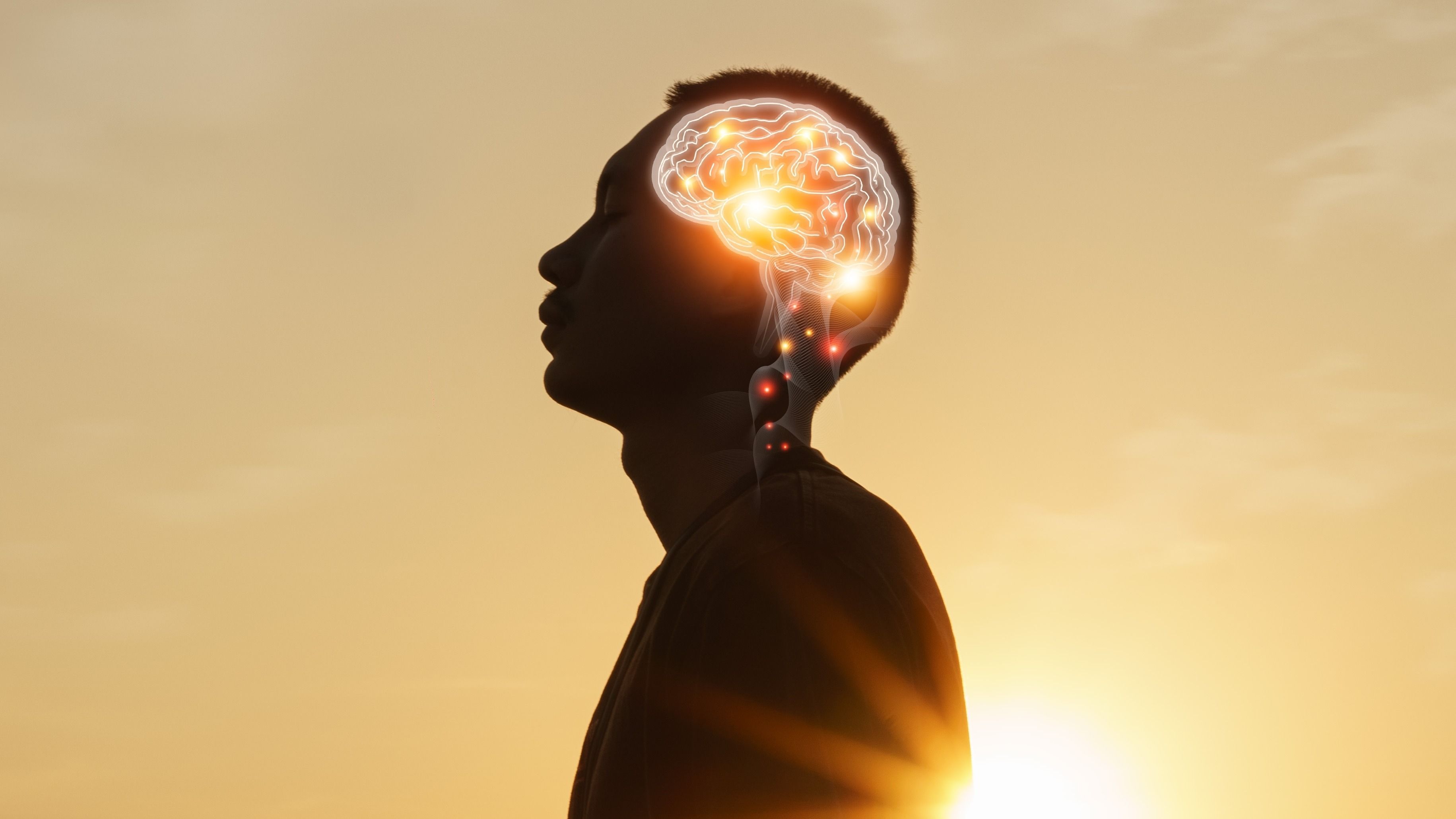 7 kifejezés, amit csak a kimagasló intelligenciával megáldott emberek használnak
