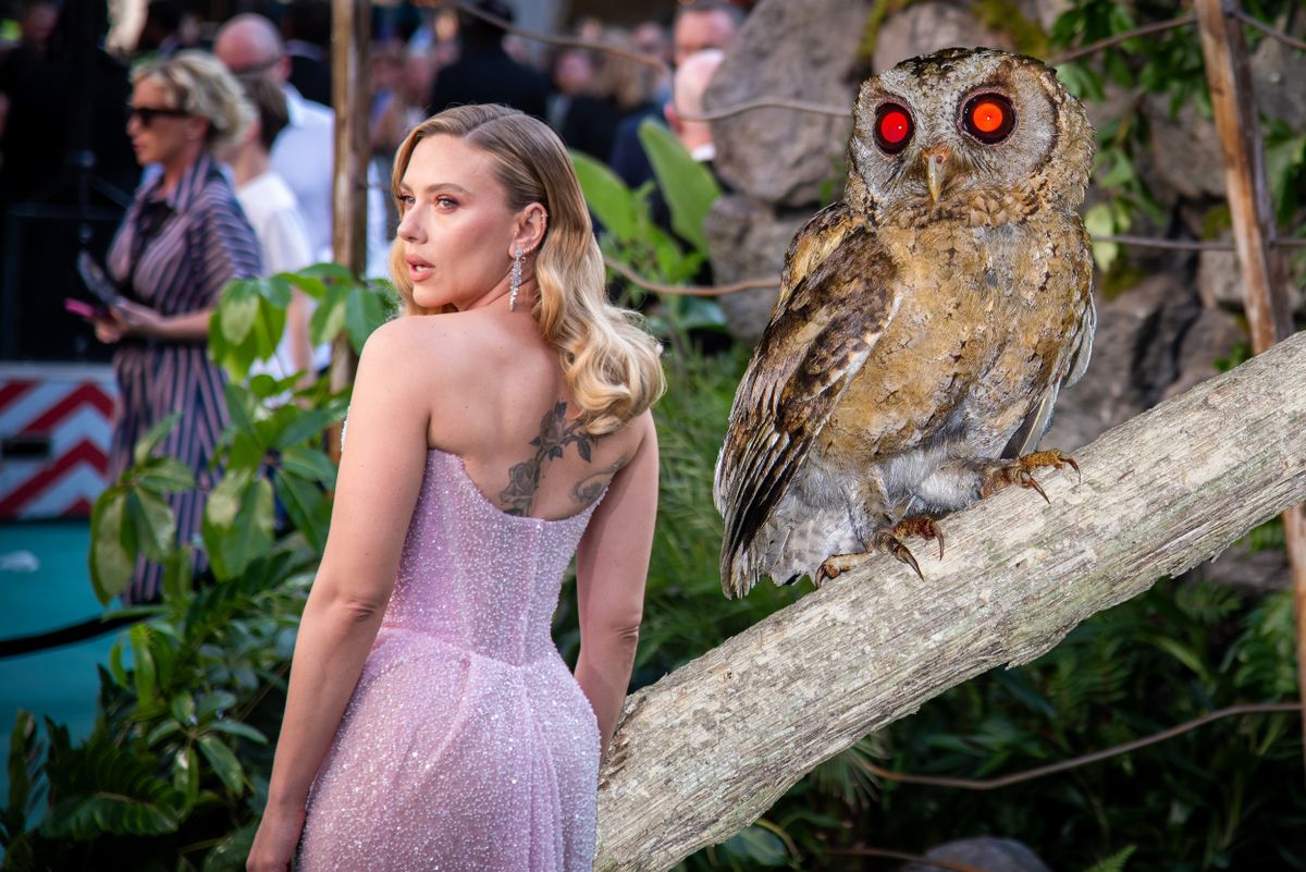 Scarlett Johansson sztár irreális félelem madarak