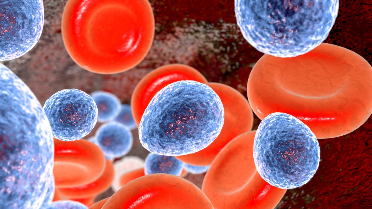 Candida auris
