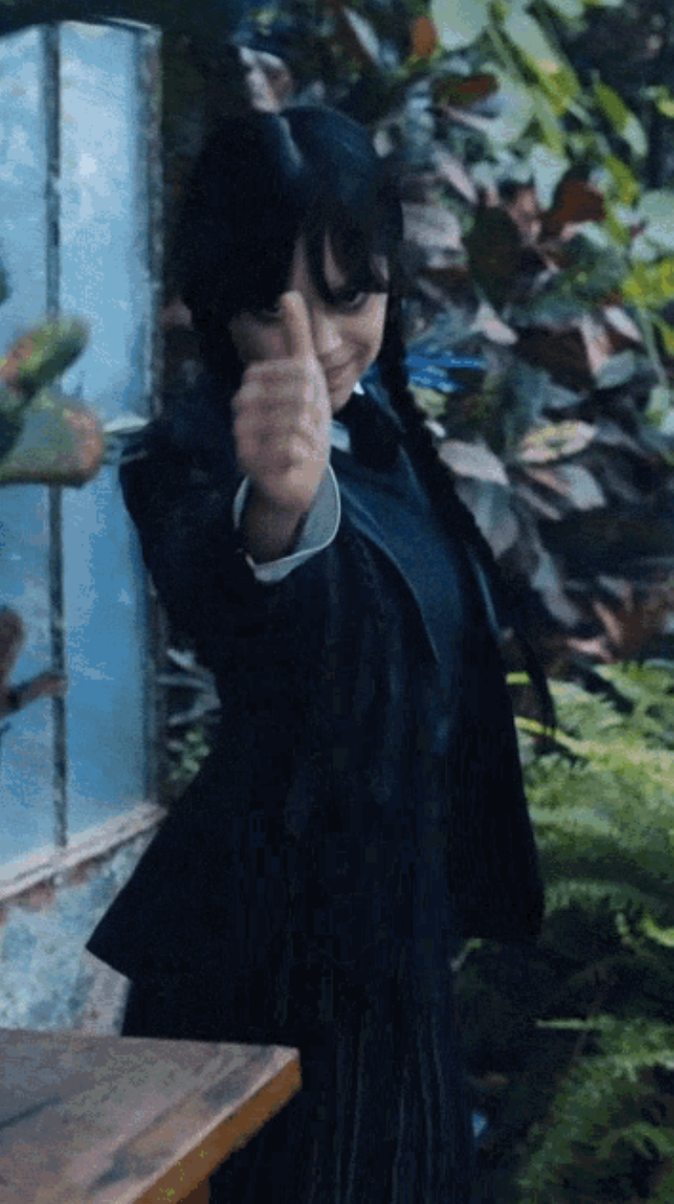 Wednesday gif 3
