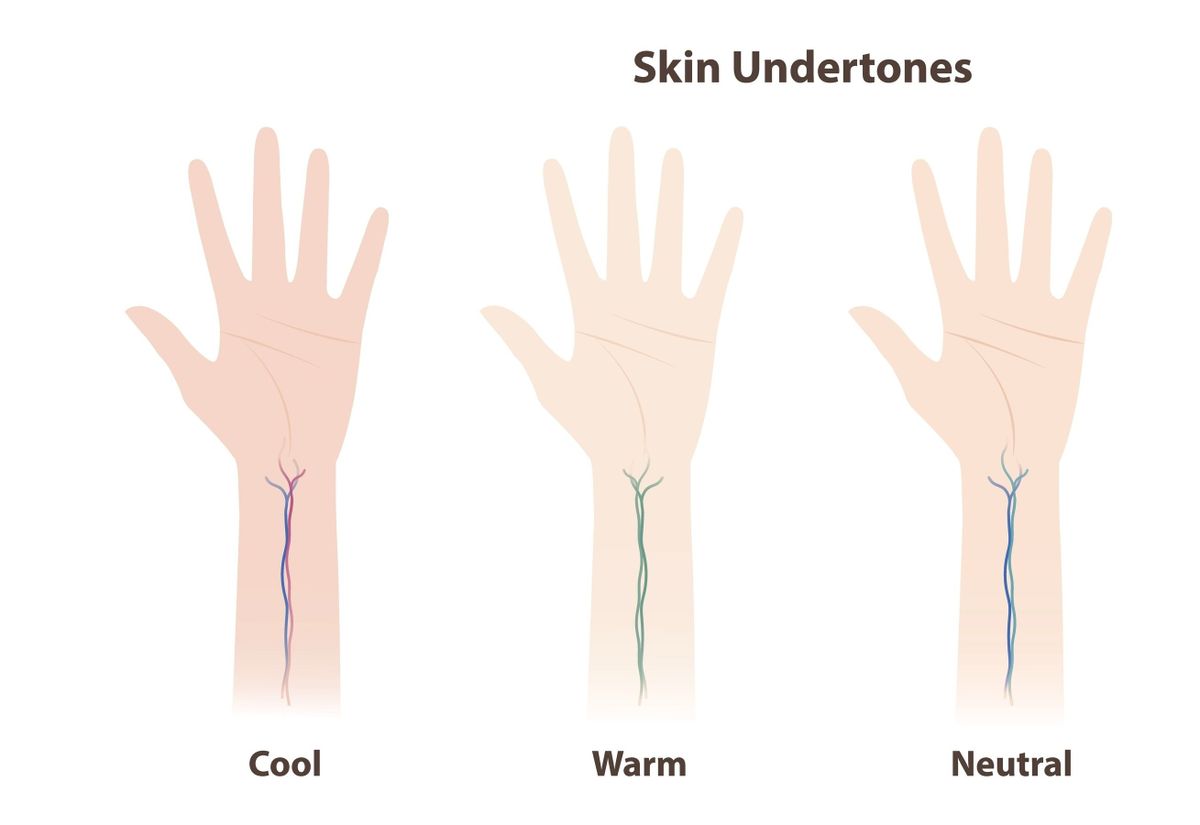 The skin undertones vein test vector illustration isolated on white background. The categories of undertones look at the veins on the wrist. Cool, warm, neutral and olive. Skin and beauty concept.