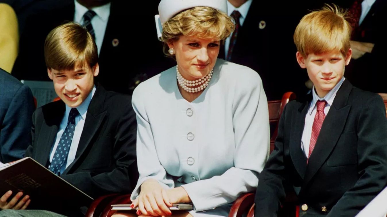 Diana hercegné, Lady Diana halála előtt pár órával beszélt utoljára fiaival, Vilmos herceggel és Harry herceggel