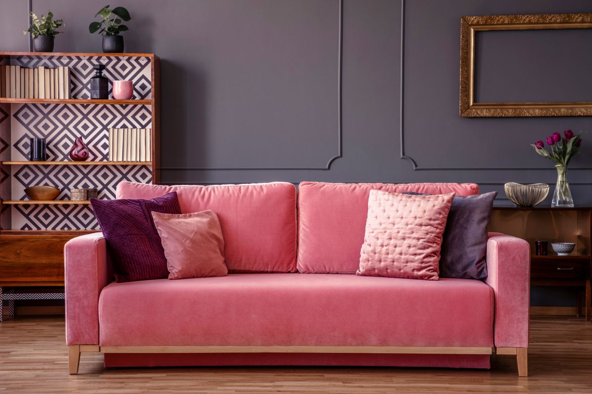 Pink velvet couch with decorative pillows standing in grey living room interior with vintage cupboard, fresh plants and molding on the wall