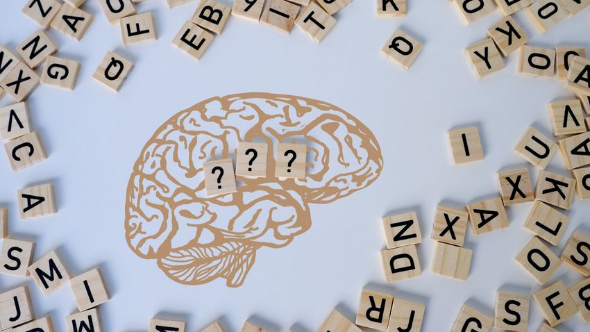 Kvíz kérdést ábrázoló kép.