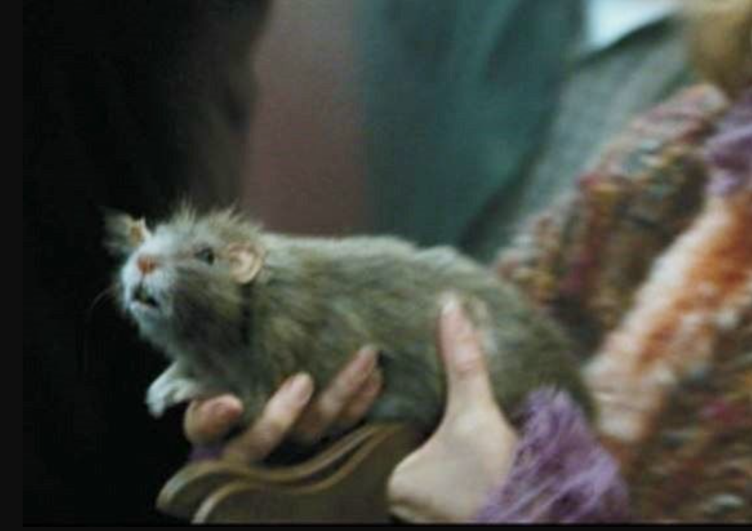 Makesz halála sok mindent megváltoztatott volna. 