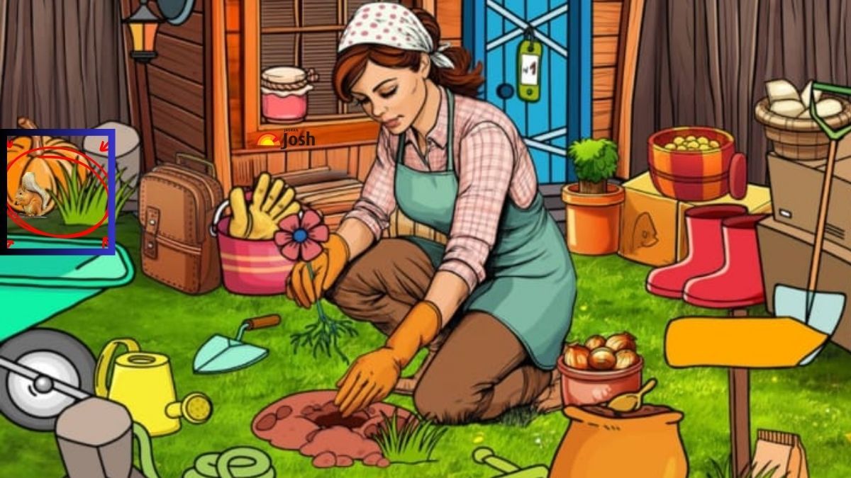 Optikai illúzió IQ-teszt megoldás