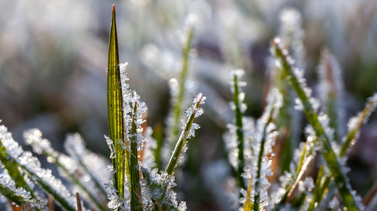 Idén korábban érkezhet a tél: már december közepén leeshet az első hó