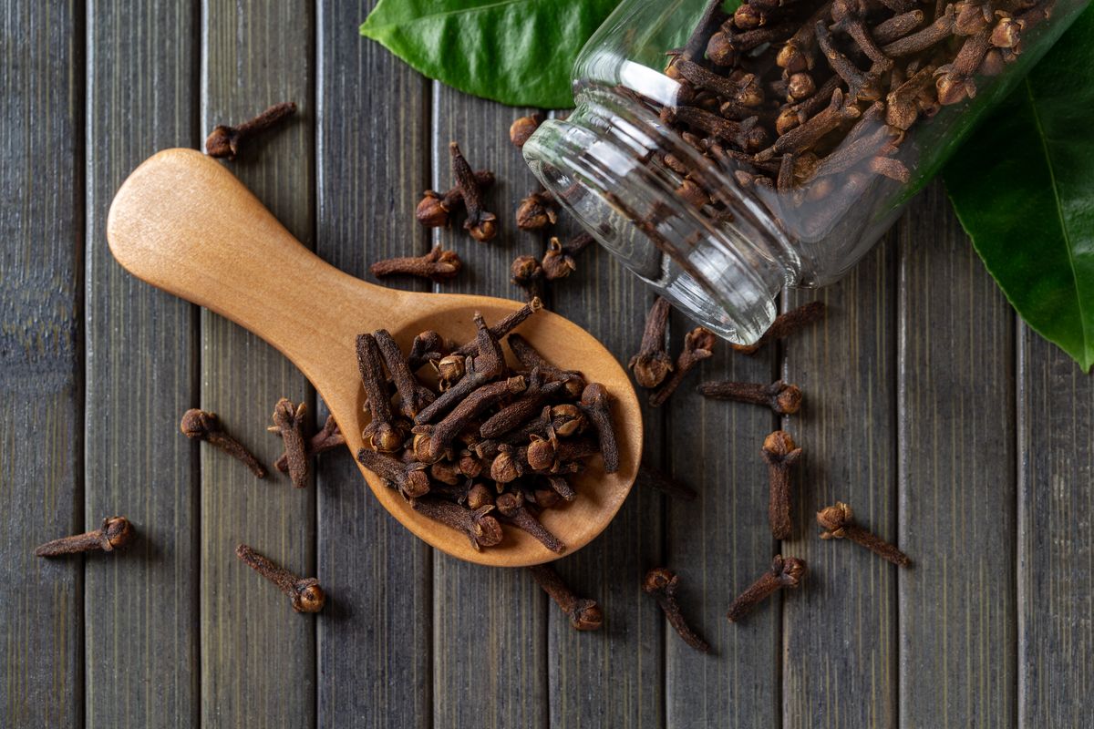 Egy üvegből kiszórt szegfűszeg