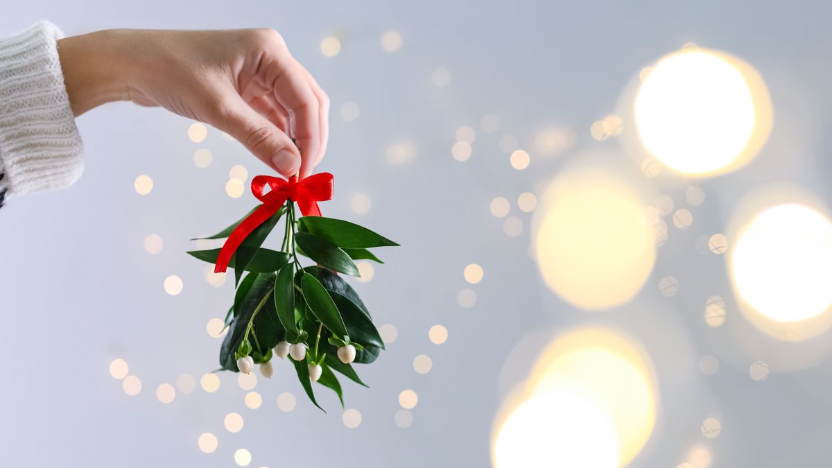 A fagyöngy alatt karácsonykor.