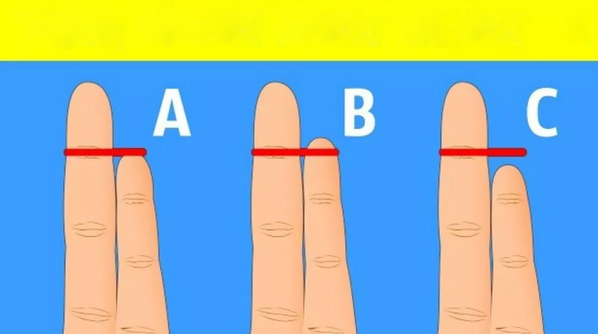 Milyen munka illik hozzám - derítsd ki a kisujj hossza alapján