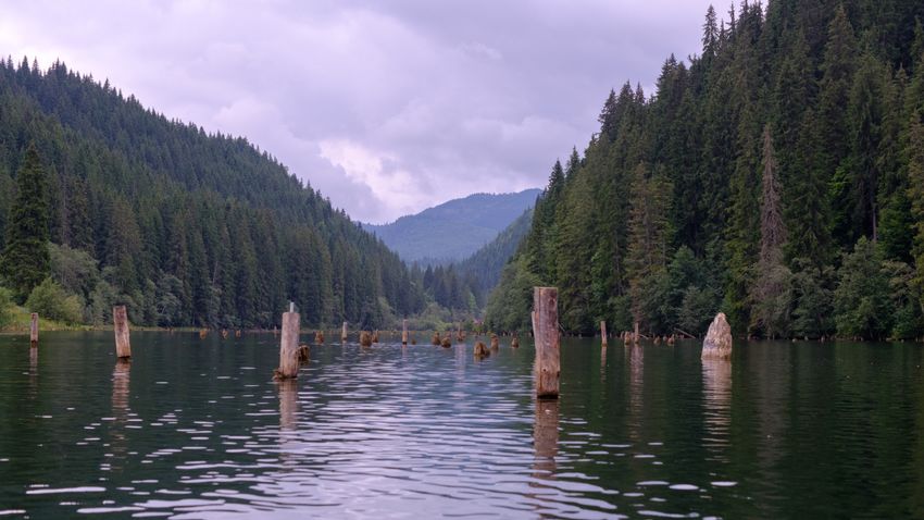 Kvíz kérdést ábrázoló kép.