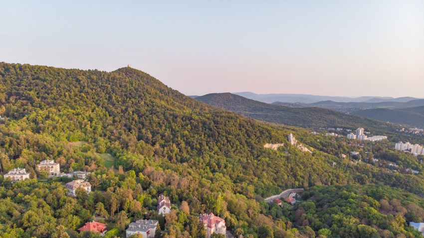 Kvíz kérdést ábrázoló kép.