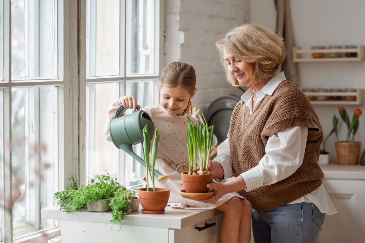 nagyszülő-unoka kapcsolat