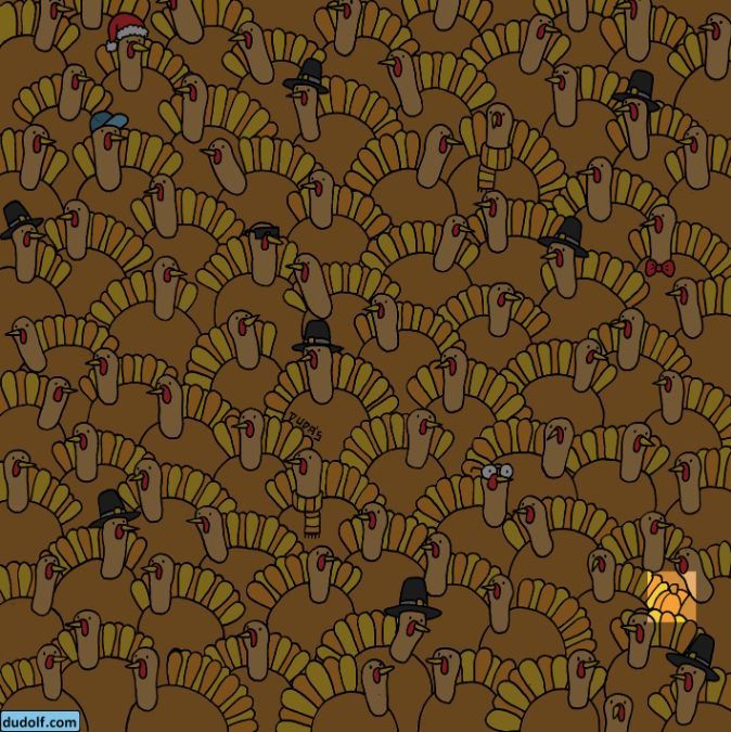 find-hidden-pumpkin-picture-puzzle-answer - 1