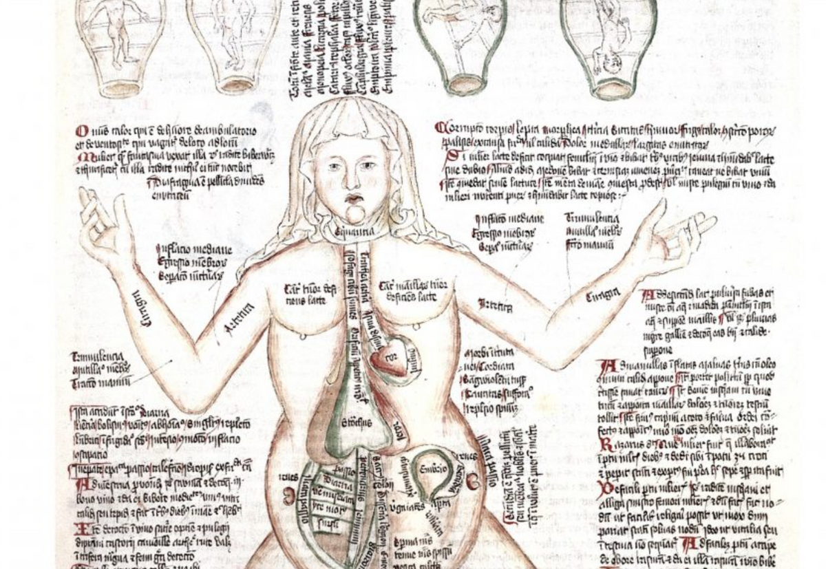 Korabeli tanulmány a vándorló méhről.