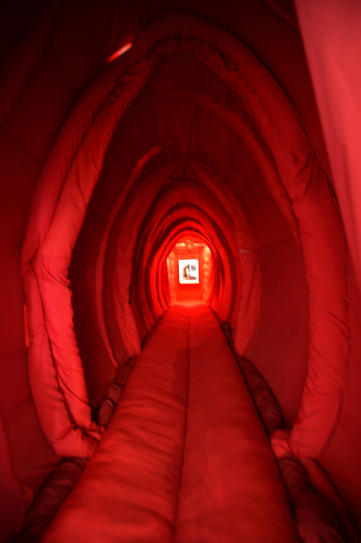 Cara Delevingne otthona, vulva átjáról