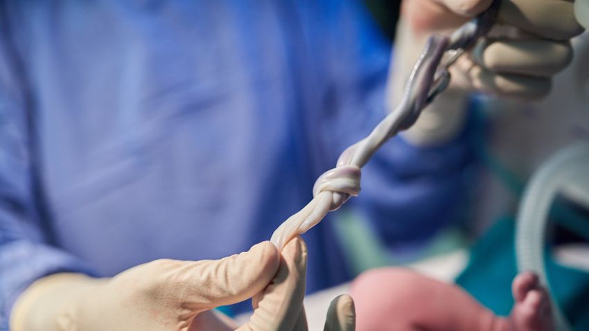 Kvíz kérdést ábrázoló kép.