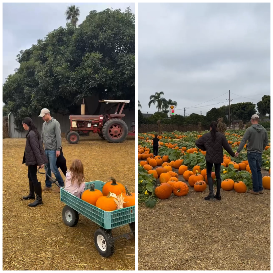 Meghan Markle közösségi oldalán mutatta meg, hogy telt egy napjuk egy tökfarmon