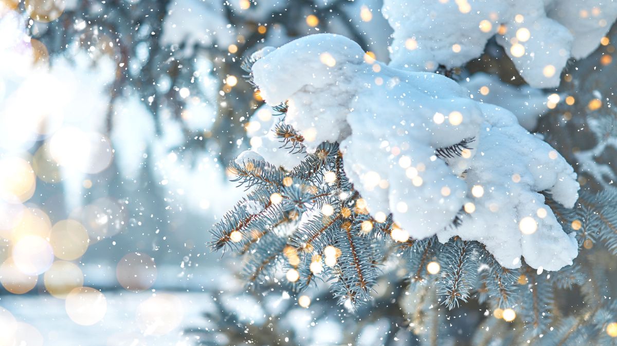 Hull a hó és hózik, legalábbis a Börzsönyben már biztos