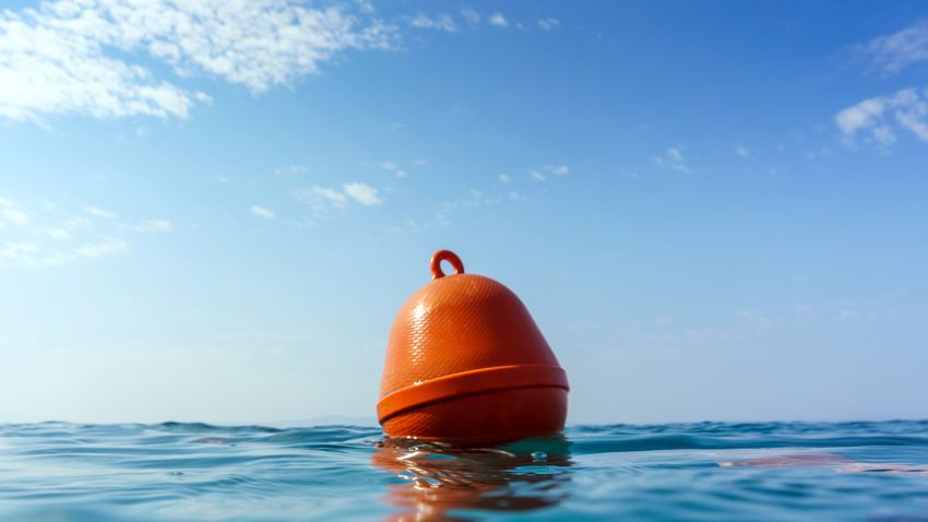 Kvíz kérdést ábrázoló kép.