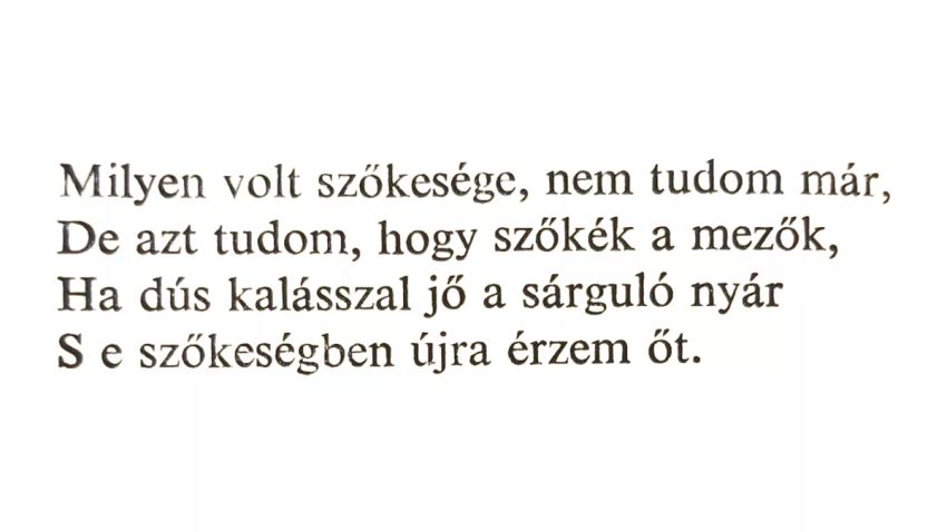 Kvíz kérdést ábrázoló kép.
