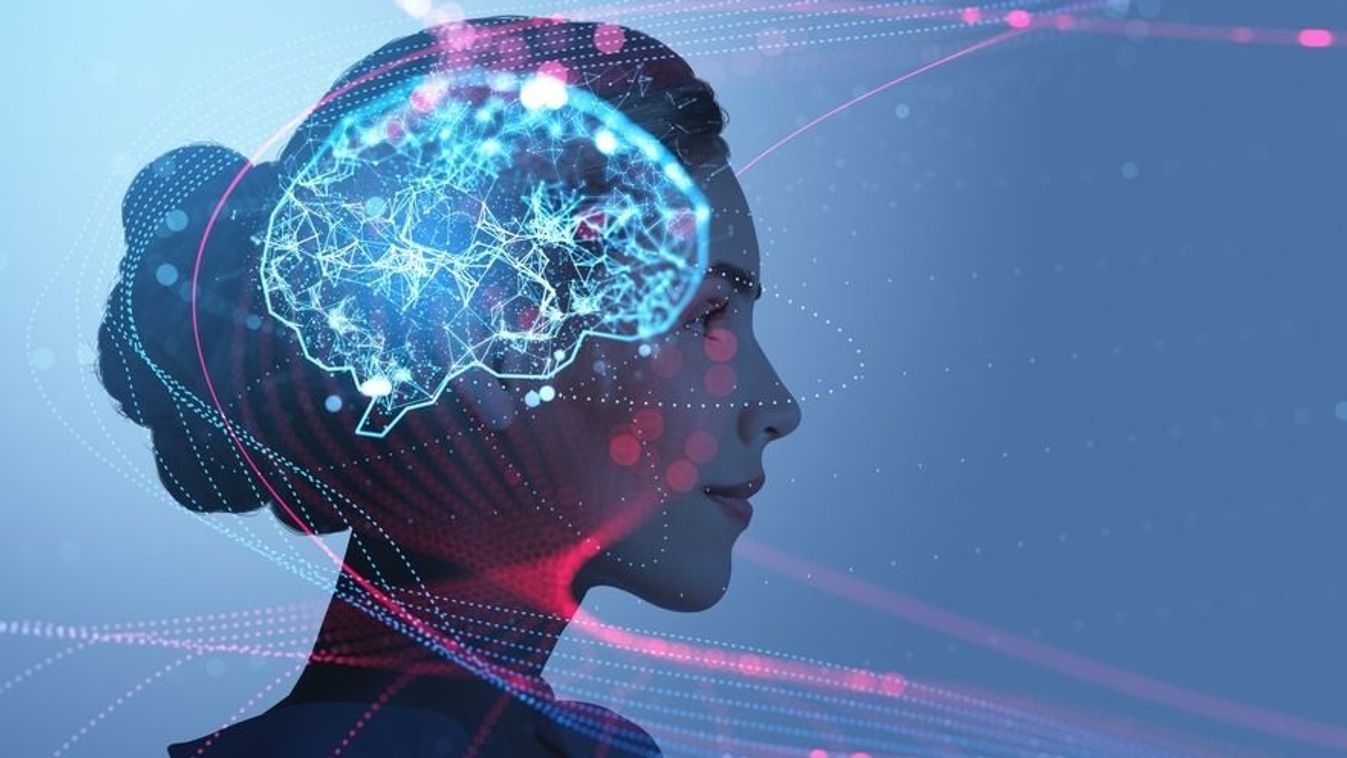 magas intelligencia jelei