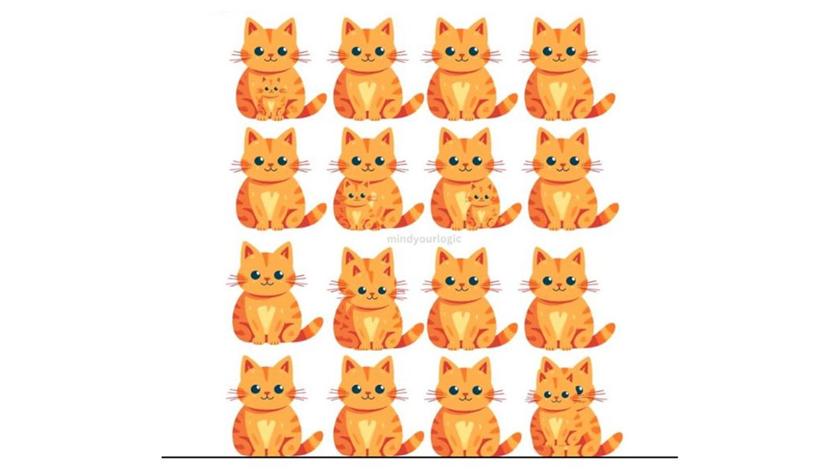 A képes rejtvény, IQ-teszt 