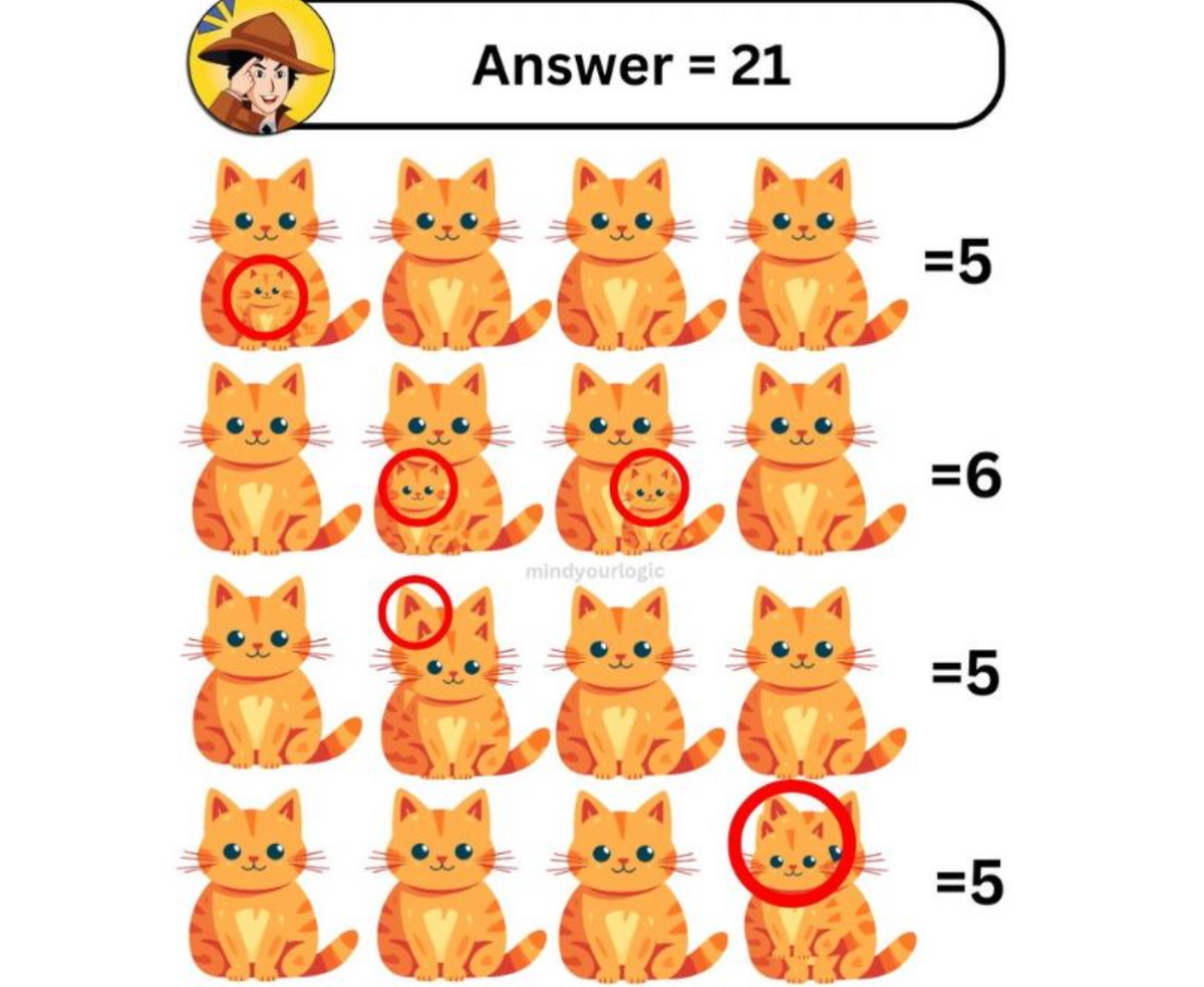 A képes rejtvény, IQ-teszt 