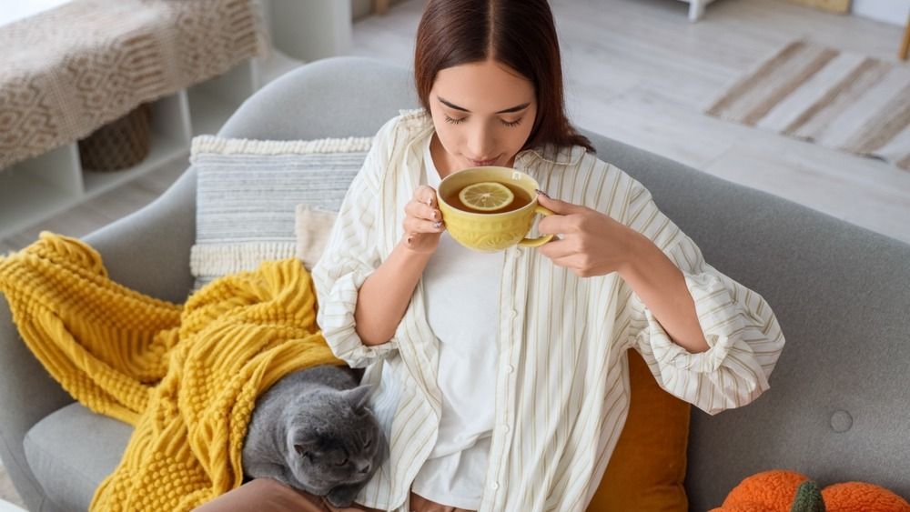 A három legjobb hasi zsírégető tea.