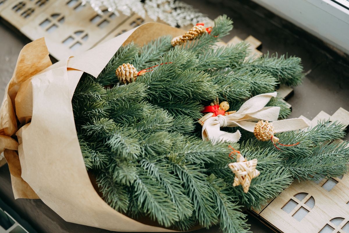karácsonyfa helyett ne fenyőfaágat, inkább szobanövényt díszíts 