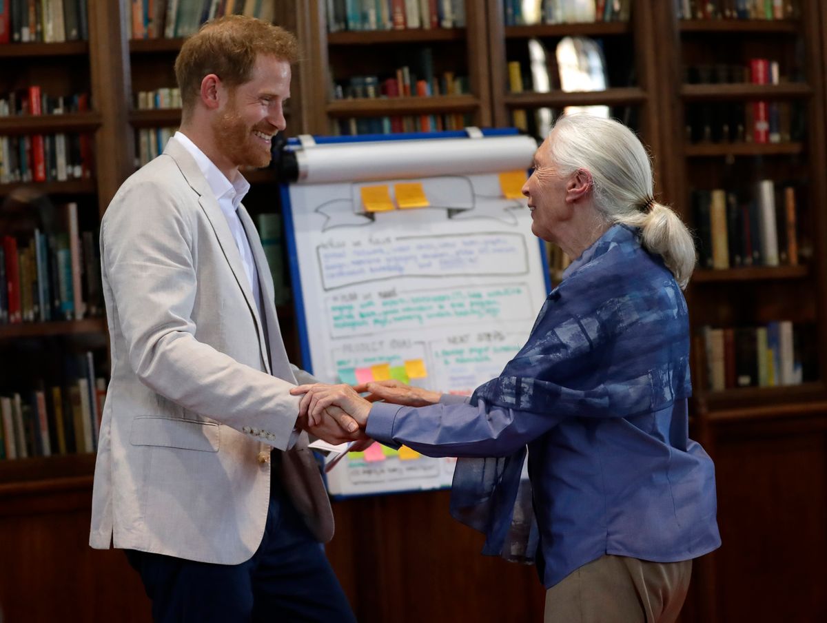 Harry herceg és Jane Goodall 2019-ben