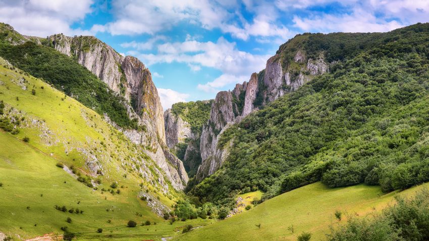 Kvíz kérdést ábrázoló kép.