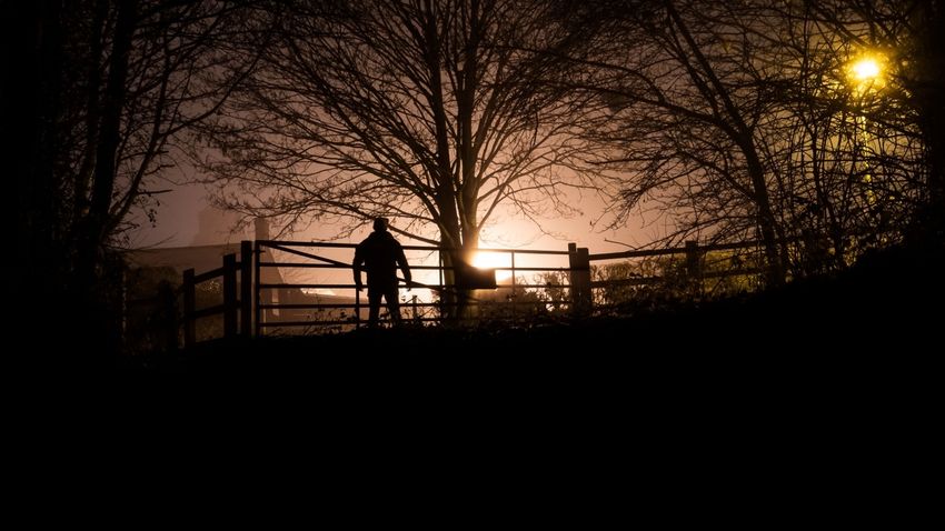 Kvíz kérdést ábrázoló kép.